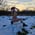 youmakemewild profile