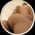 blondeunicorn_student profile