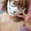 berriesdiary profile