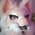 flutterfoxlet profile
