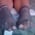 artistefeet profile