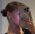barebylola