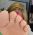 barefootbun3