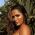 Bruluccas profile