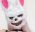 CupidBunny 
