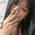 Alesad