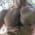 brogandalyxxx profile
