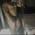 muscle_worship_real profile