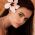 Dehandre Van Tonder
