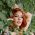 Diandra SG profile