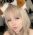 dogwife  profile
