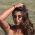 Hawaiian Holly profile