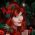 Ichois profile