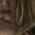 emilysequoiafree profile