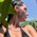 thegiantgirl profile