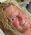 Karen Pennington profile