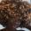 Lazelle Doll profile