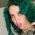 Lorena Schineider profile