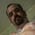 captainmark9 profile