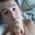 samsamsen profile