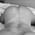 thickotter profile
