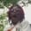 yungyannahfetish profile