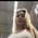 kaylamoodyfree profile