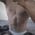 theblackmanc profile