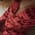 zxckberry420 profile