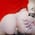 marlyndequeen profile