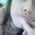 tinaa1901 profile