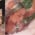 cartercameronfree profile