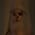 rinnydoll profile