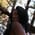 vanniall profile
