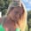 missalicewild profile