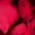 firetalee profile