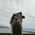 nonameever0 profile