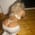 sarahsuave66 profile