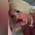 misshaleylayne profile