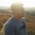 dpanda profile