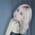 lyalitveliar_free profile