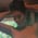 MixedMama96 profile