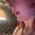 v4mp.dxllz profile