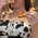 femmefeedistfree profile