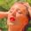 Mississippi Gypsy profile