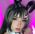 mizuki kai profile