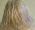 nameacarr profile