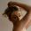 Nensi_Mur profile