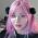 Noodlenom profile