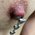 pierced miyu profile
